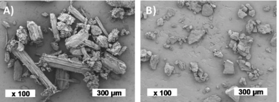 Figure 1. SEM images of (A) the vine shoots and (B) the wine pomace fillers. 