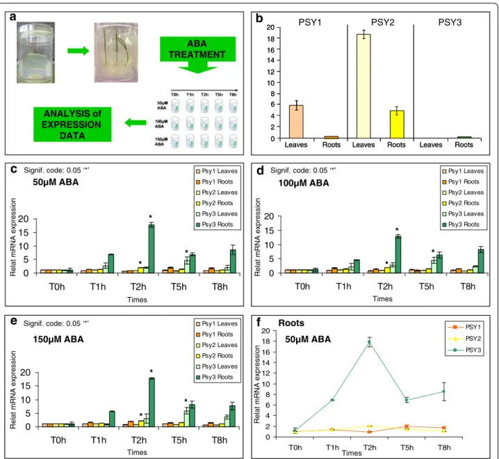 Figure 5 Effect of ABA treatment on wheat PSY expression. (a) Experimental design. (b) Expression level of PSYs in non-stressed leaves and roots