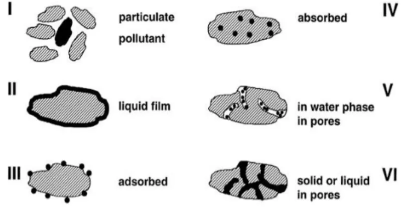 Figure I.10 : Représentation de la capacité d'échange cationique (McCauley et al. 2005)