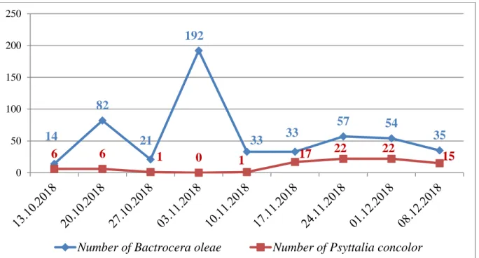 Figure 4: Population dynamics of B. oleae and P. concolor on the Azeradj variety 