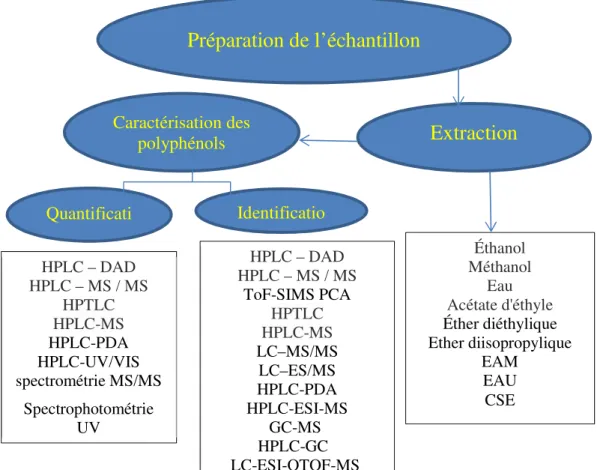 Figure 10. Différentes techniques de caractérisation des polyphénols Éthanol Méthanol Eau  Acétate d'éthyle  Éther diéthylique  Ether diisopropylique EAM EAU CSE