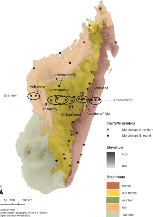 Fig. 2. Distribution of collection regions and sites of two foliar morphotypes of C. asiatica found in Madagascar: by bioclimate (simplified from Cornet [24]) and altitude