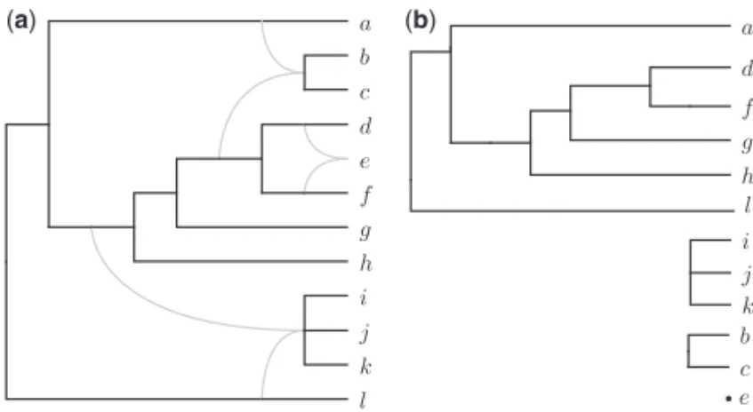 Fig. 3. (a) A phylogenetic network N. (b) A concrete drawing τ of the forest F (N). This drawing induces a partial order of the leaves such that a < τ d < τ f < τ g < τ h < τ l, i < τ j < τ k, and b < τ c.