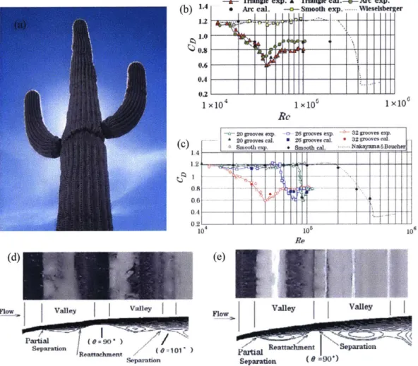 Figure  1-7:  Cactus  inspired  aerodynamic  research.  (a)  Representative  photograph  of a  Saguaro  cactus  (Scottsdale,  Arizona)  [87]