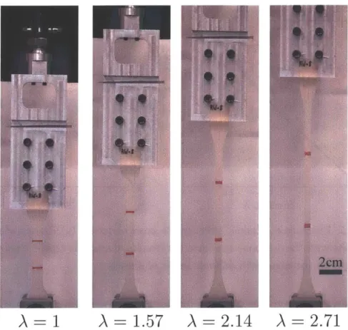 Figure  2-4:  Photographs  of  a  dog  bone  specimen  during  a  tensile  test  at  A  =  1, 1.57,  2.14  and  2.71