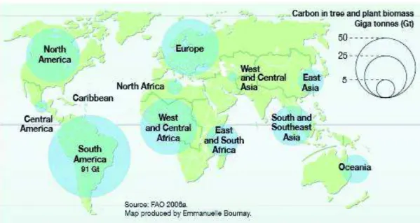 Figure 1.2. Forest carbon stock per region. UNEPP, FAO, UNFF, Forest vital  graphics, 2009