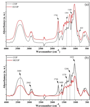 Fig. 1b shows the spectra of COP and MCOP powders, the major modi ﬁ cation observed after mercerization was the decrease of  absor-bance at 3400 cm −1 , the disappearance of the peaks at 1246 cm −1 (C – H stretching) and at 1746 cm −1 (C _ O stretching)