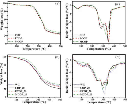 Fig. 4. Thermograms of weight loss and derivative weight loss of COP, ECOP and MCOP powders (a, a'), and of WG material, COP_20, ECOP_20 and MCOP_20 biocomposites (b, b').