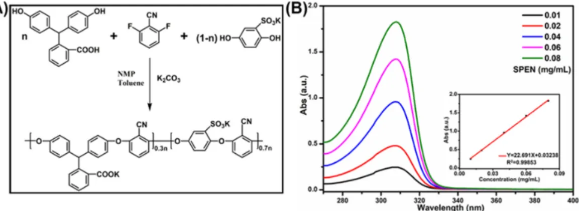 Figure 1. The synthesis route of SPEN and the UV-Vis absorption spectra of SPEN in aqueous solution  at different concentrations
