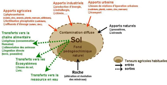 Figure II.1 : contamination des sols par les métaux lourds [15]. 