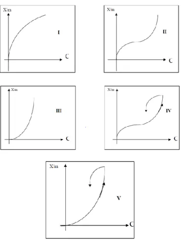 Figure II.3 : les différents types d’isothermes d’adsorption de I à V [20]. 