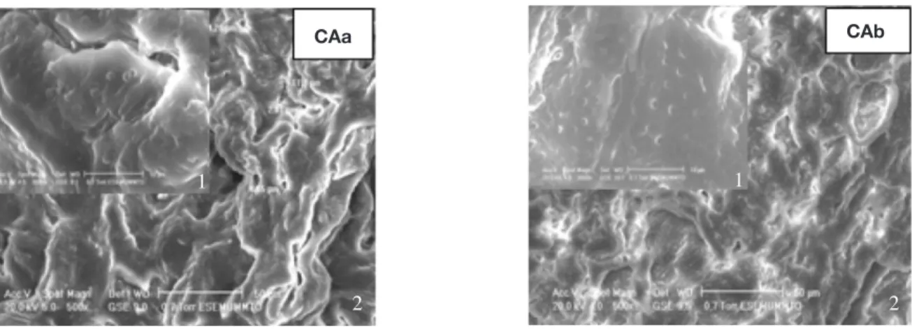 Figure 3. Thermogrammes d’analyse thermique différentielle (a) et d’analyse thermogravimétrique (b) de la coquille d’amande  activée par différentes méthodes — Thermograms of differential scanning calorimetry (a) and of thermogravimetric analysis  (b) of t