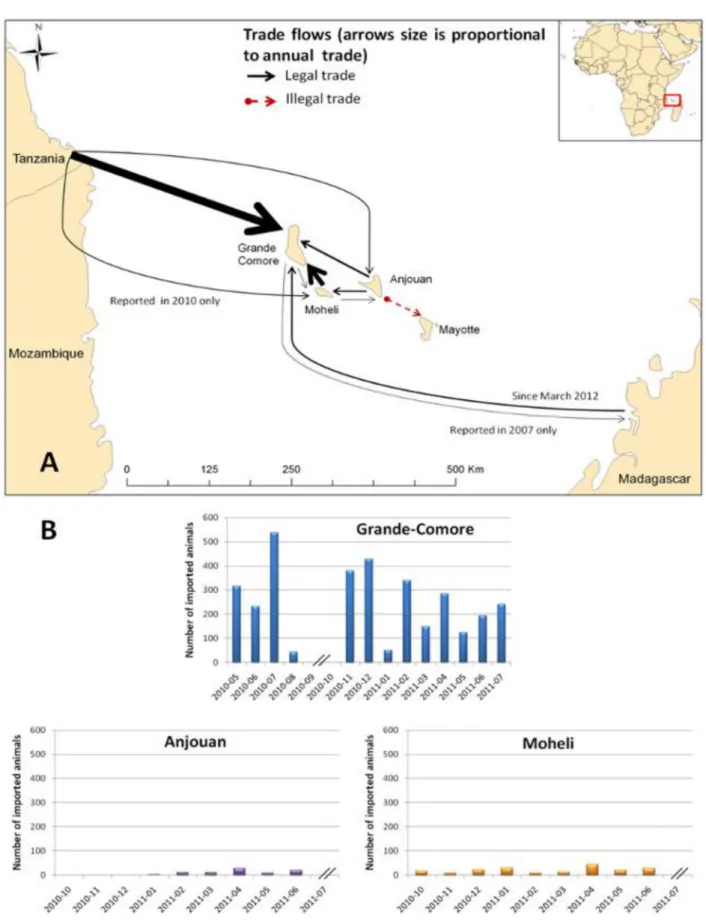 Figure 2. Trade in live animals between the Comoros archipelago, Madagascar and East Africa between 2007 and 2012