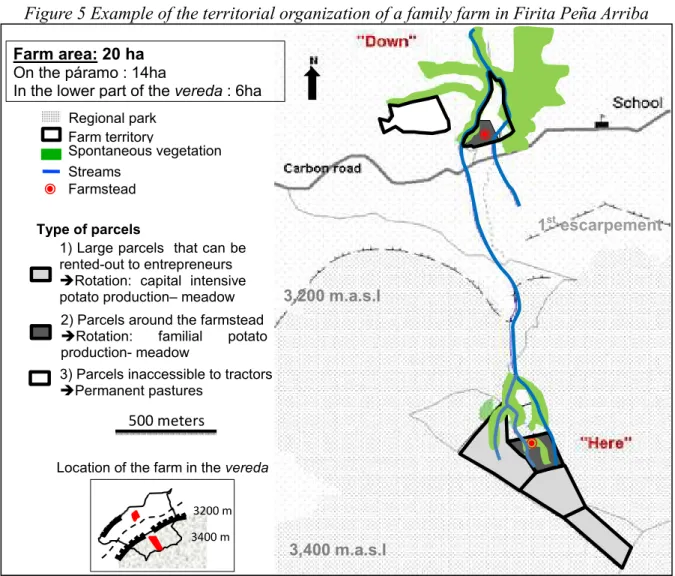 Figure 5 Example of the territorial organization of a family farm in Firita Peña Arriba 