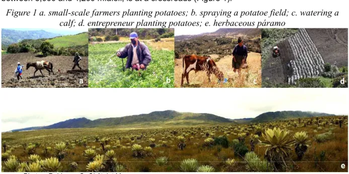 Figure 1 a. small-scale farmers planting potatoes; b. spraying a potatoe field; c. watering a  calf; d