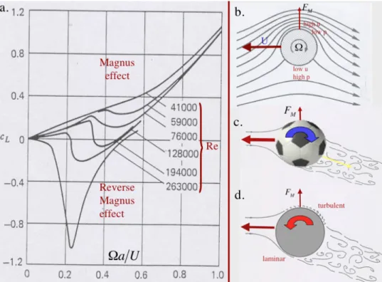 Figure 6: a) The dependence of the Magnus lift coefficient, c L , on the translational and rotational speeds of a smooth cylinder