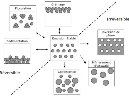 Figure II.6 : Les instabilités des émulsions [17]. 