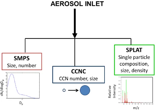 Fig. 1. Schematic of experimental setup used at SPL. Aerosol size and number concentrations were measured by a scanning mobility particle sizer (SMPS), droplet activation and resulting droplet number concentrations as a function of chamber supersaturation 