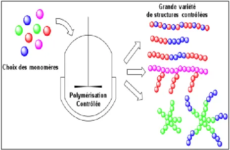 Figure I.1. La structure d’un polymère [5]. 