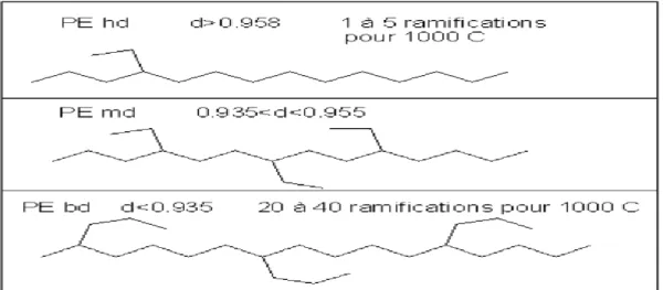 Figure I.6. Structure de différents types de polyéthylène [11]. 