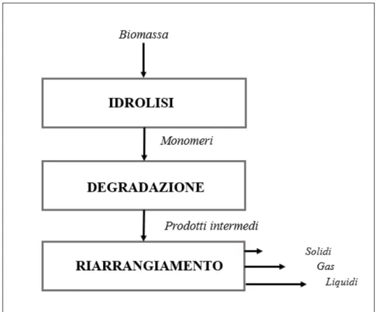 Figura 2.4 Schema cammini di reazione processo di liquefazione idrotermale 