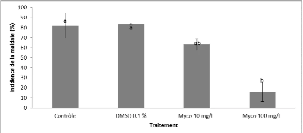 Figure 2. Effet protecteur de la mycosubtiline (un lipopeptide de Bacillus subtilis) sur des laitues infestées par Bremia lactucae  Impact des résultats / applications / résultats opérationnels   