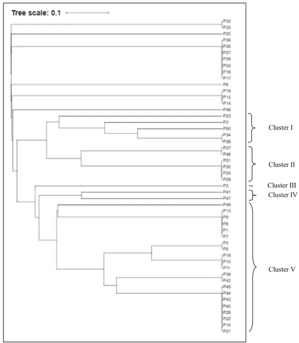 Fig. 2 Dendrogram obtained by comparing BOX-PCR results obtained with the 50 isolates