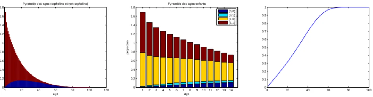 Figure 12: Pyramide des âges avec orphelins (bleu), répartition des catégories d'enfants et proportion d'orphelins dans la population à l'équilibre ( RR 0 = 1 )