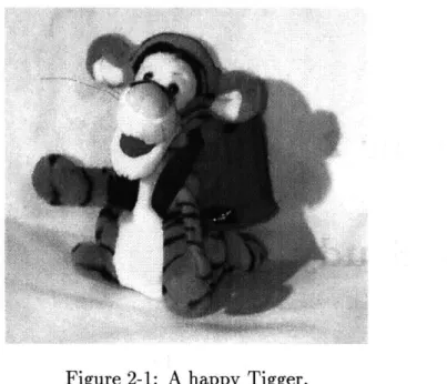 Figure  2-1:  A  happy  Tigger.