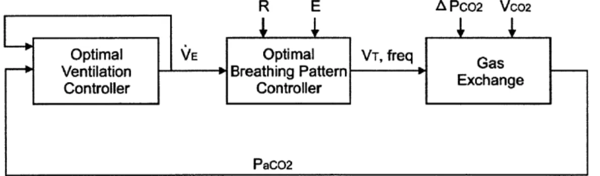 Figure 4.2 Block diagram of optimal  respiratory CO 2 control