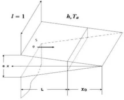 Figure 6 : modèle géométrique de l’ailette triangulaire 