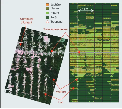 Figure 5.La de´forestation sur la Transamazonienne, photo et simulation.