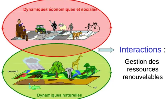 Figure 1 : Dynamiques des ressources naturelles renouvelables en interaction avec des dynamiques sociales