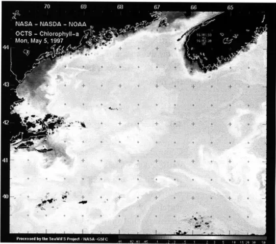 Figure 6.0.  Satellite Image showing the Chlorophyll content found in the coast of Mass.