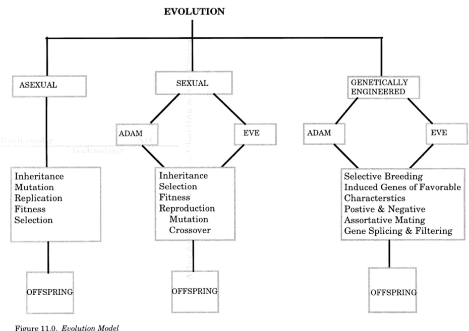 Figure  11.0.  Evolution ModelASEXUAL