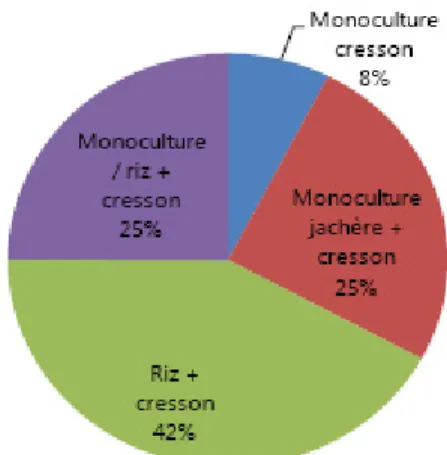 Figure 1. Répartition des superficies de cresson selon  les associations de cultures  (Source : Enquête  agro-géographie Qualisann, 2008)