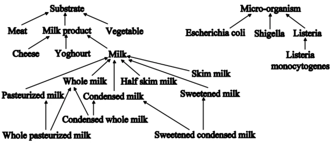 Figure 2 Example of a hierarchy 