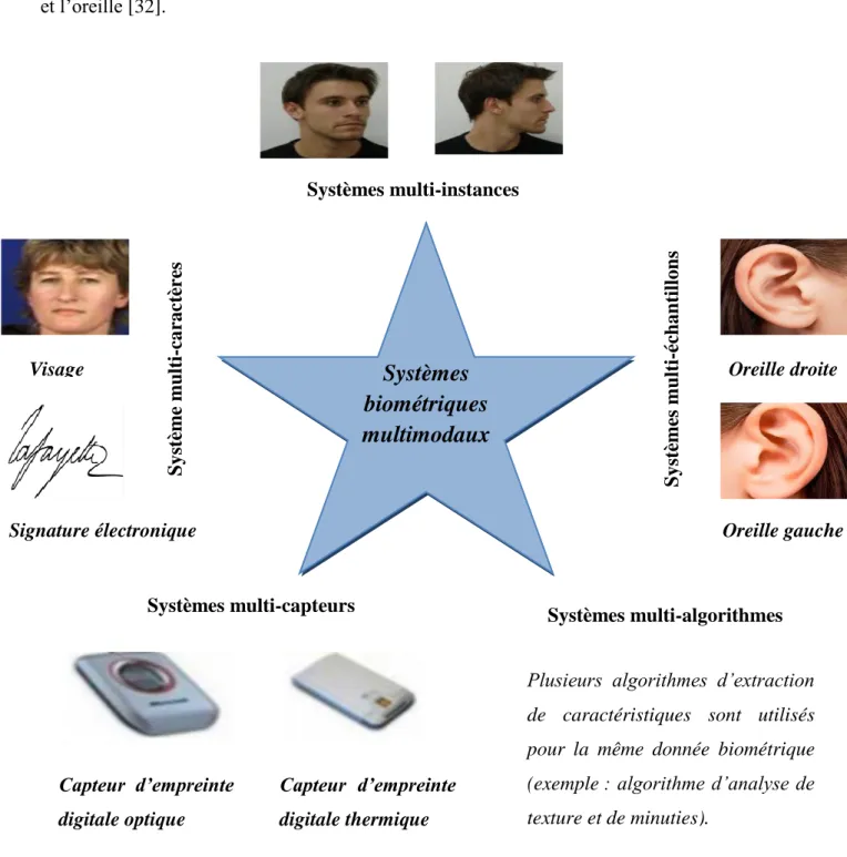 Figure 2.1 :  Les différents types de fusion des traits biométriques.