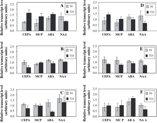 Fig. 7. Transcript profiling of VvRops in suspension cells from Cabernet Sauvignon after different treatments