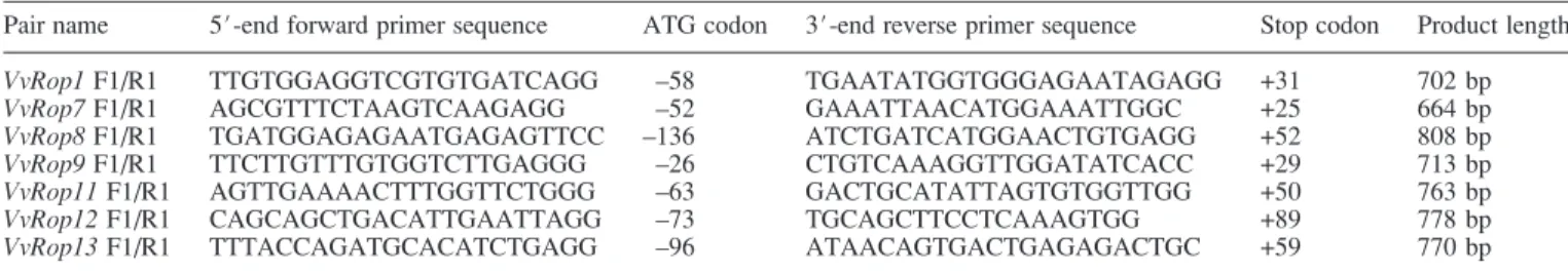 Table 2. 3 # -end primers used for real-time quantitative RT-PCR experiments