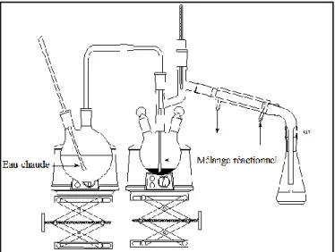 Figure I.5. Montage d’hydrodistillation (entrainement à la vapeur). 