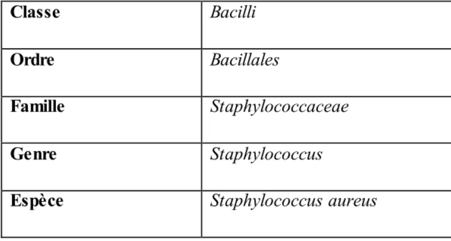 Tableau  03: Classification  de Staphylococcus aureus (Garrity  et al., 2007). 