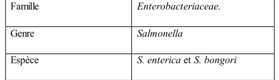 Tableau  05 :  Classification  de Salmonella  (Henry,  2014). 