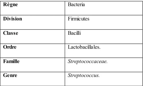 Tableau  06 : Classification  de Streptococcus (Bentley et al., 1991). 