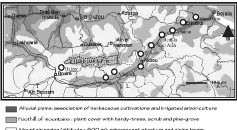 figure 1. — Road along the Soummam valley (from Béjaia to Bouira) surveyed for algerian hedgehogs (Atelerix  algirus) killed by traffic