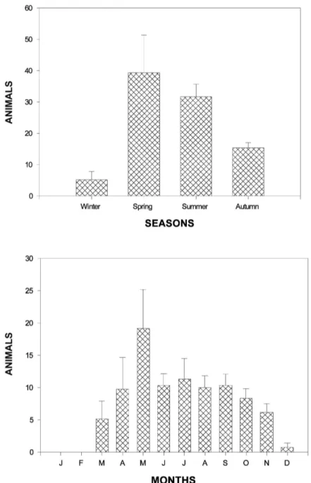 figure 2. — distribution of algerian hedgehogs killed on the road along the Soummam valley from 2002 to 2006 :  (a, upper graph) on a seasonal and (b, lower graph) on a monthly scale