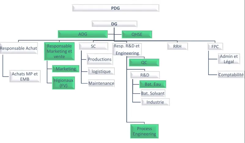 Figure I.2 : Organigramme de la société. 