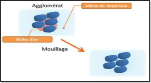 Figure I.11 : Rôle de l’agent mouillant dans la dispersion. 