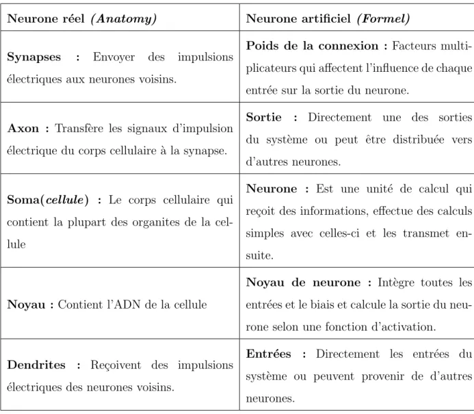 Table 1.1 – Neurone r´ eel et neurone artificiel
