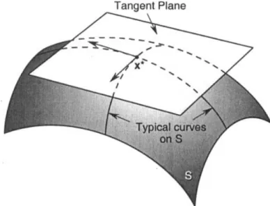 Figure 1.6 – Le plan tangent ` a la surface S au point x ∗ .
